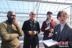 联合国官员“取经”中国乡村振兴：为其他国家提供借鉴